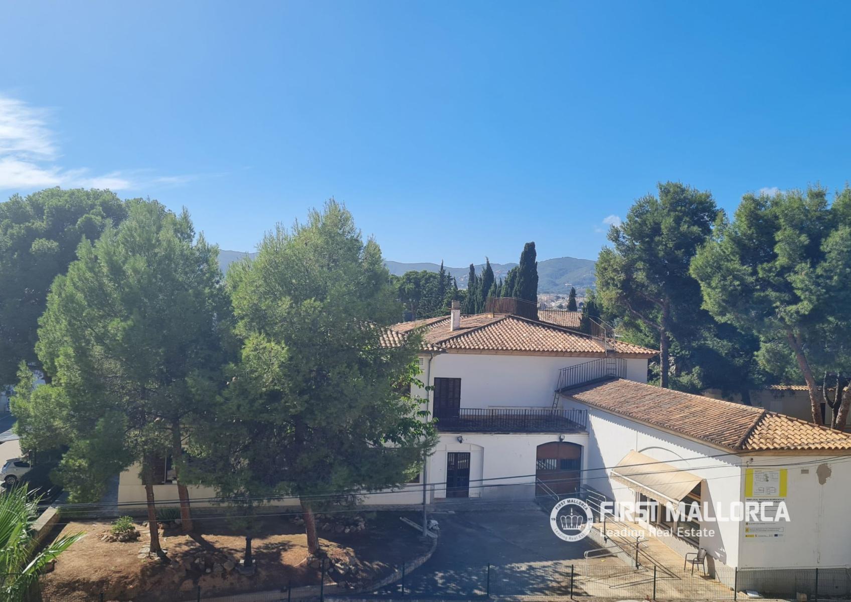 Apartment for Rent in Palma de Mallorca
