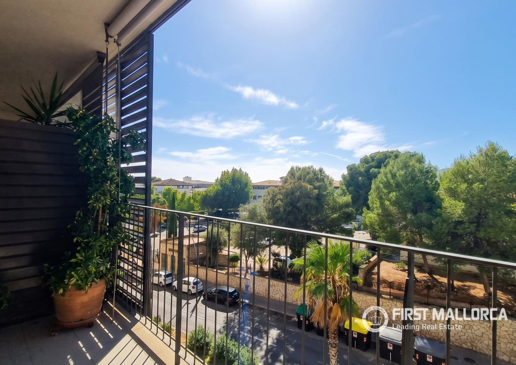 Apartment for Rent in Palma de Mallorca