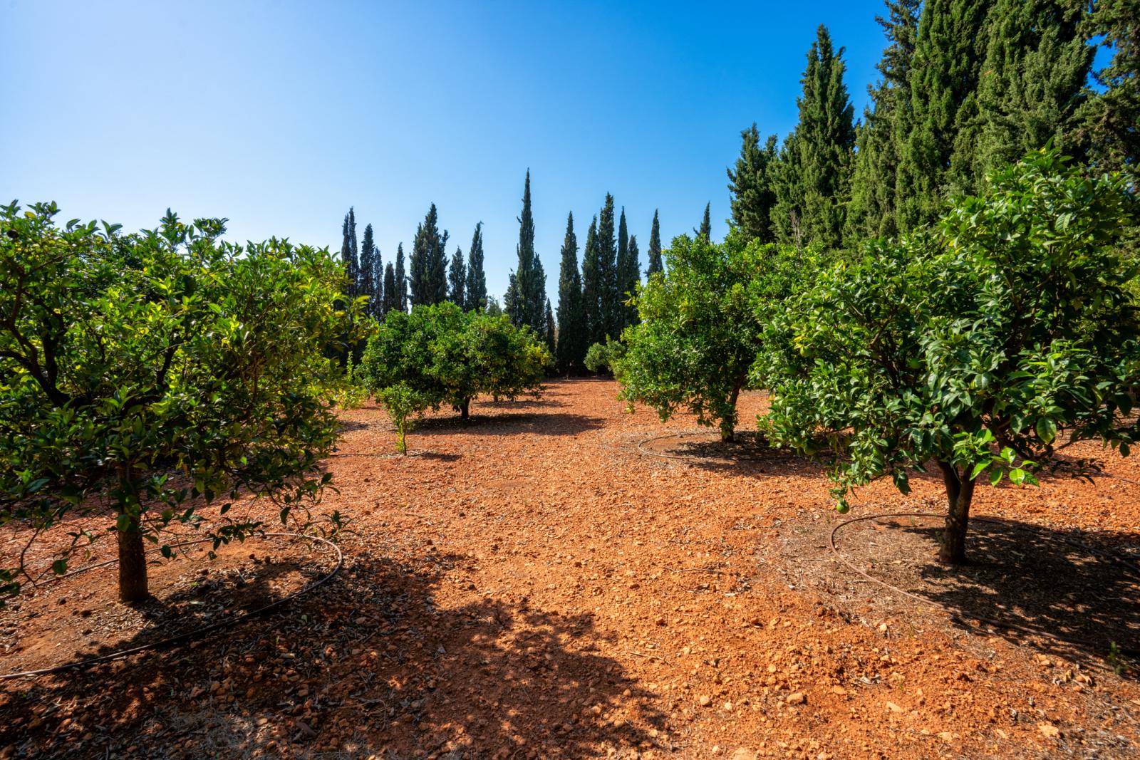 Finca en Venta en Bunyola