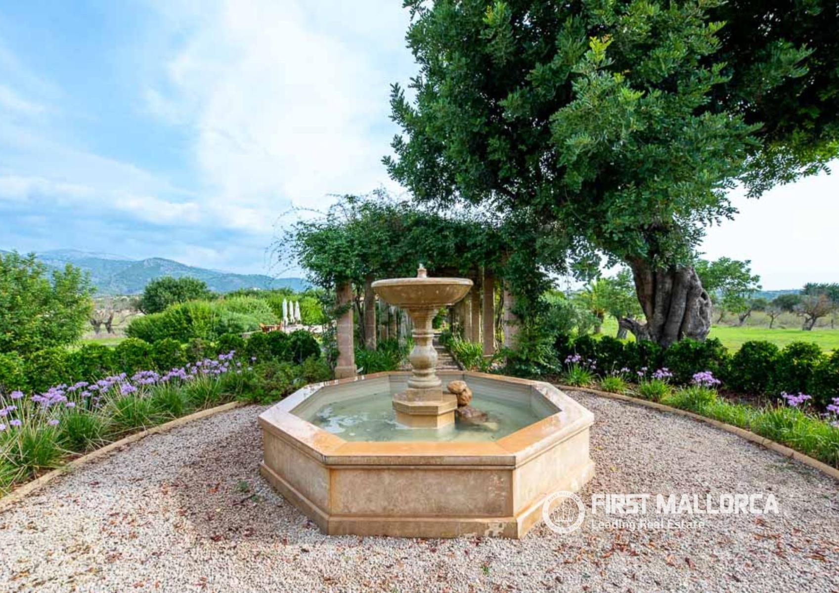 Finca en Venta en Selva