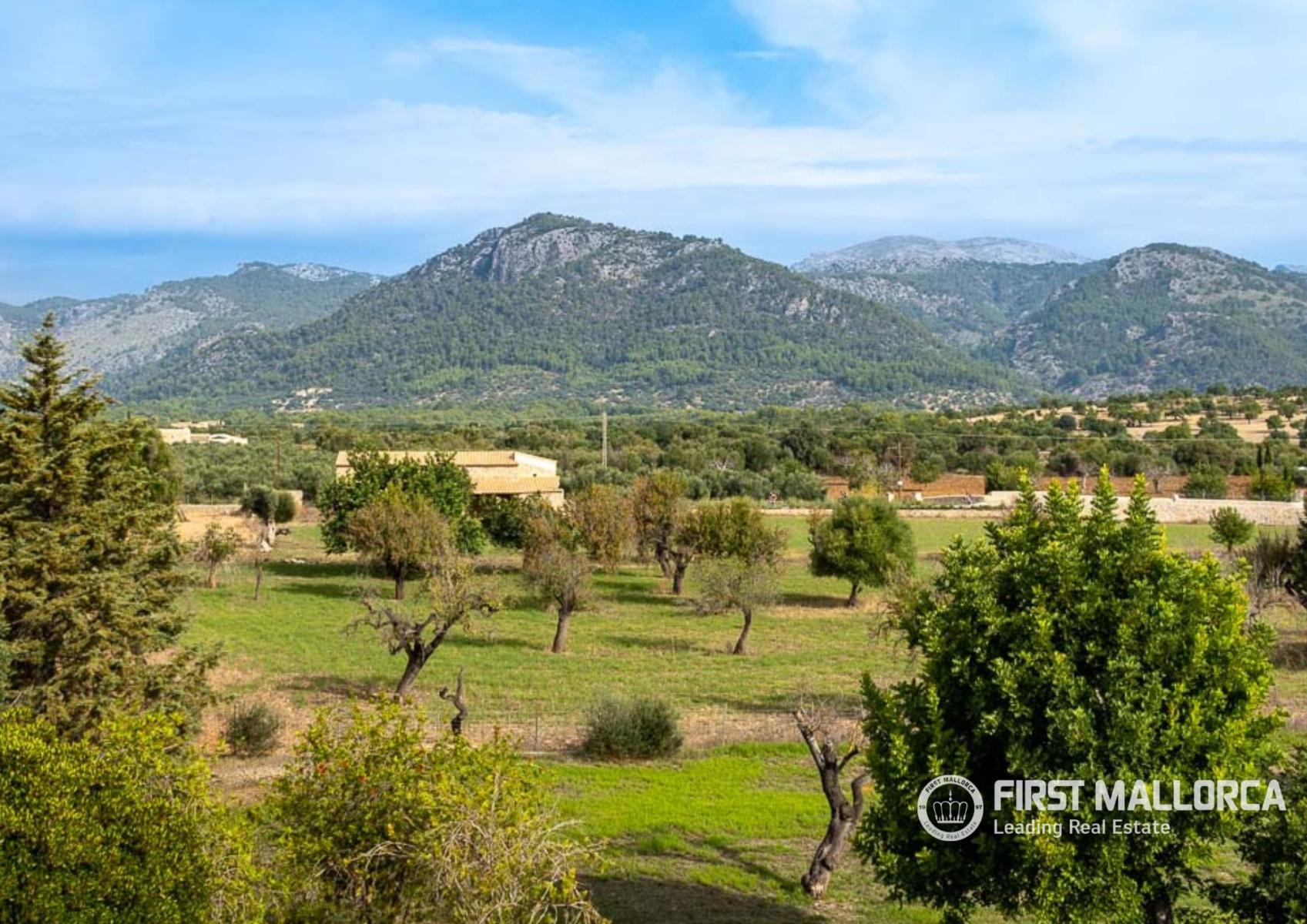 Finca en Venta en Selva