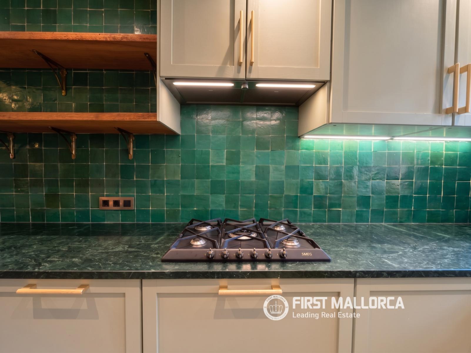 Penthouse for Rent in Calvià