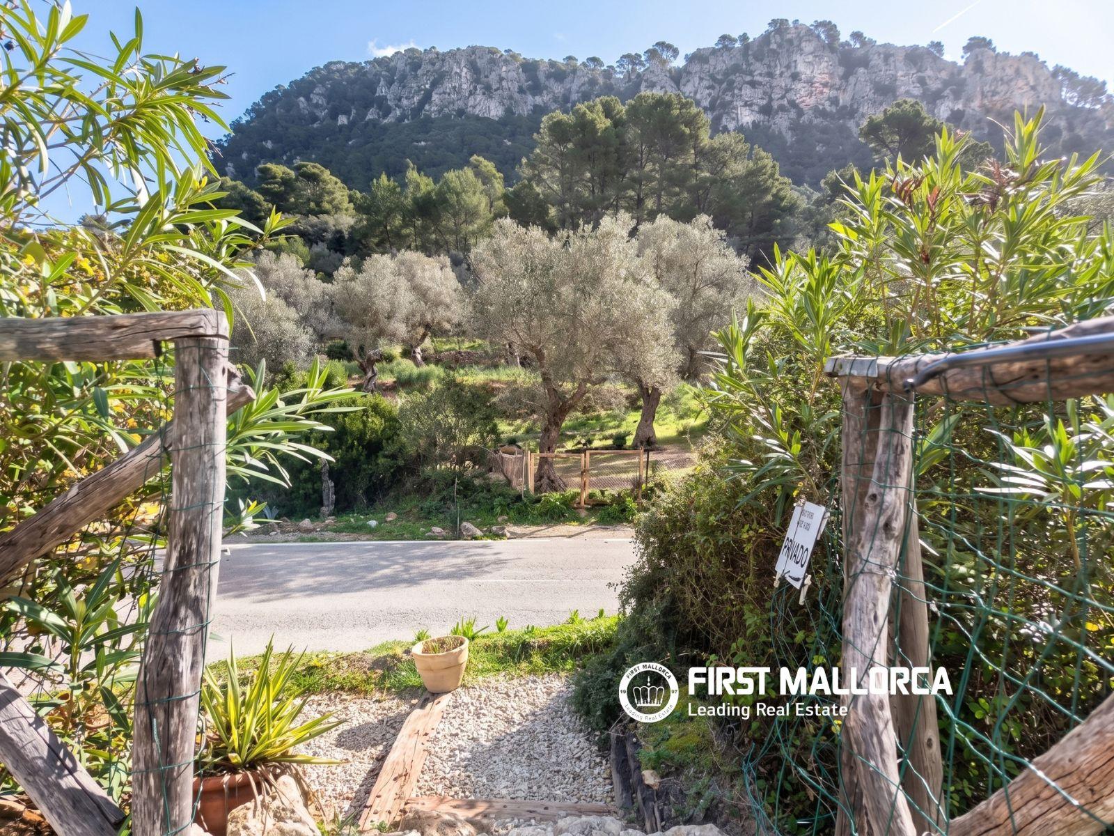 Premise for Sale in Bunyola