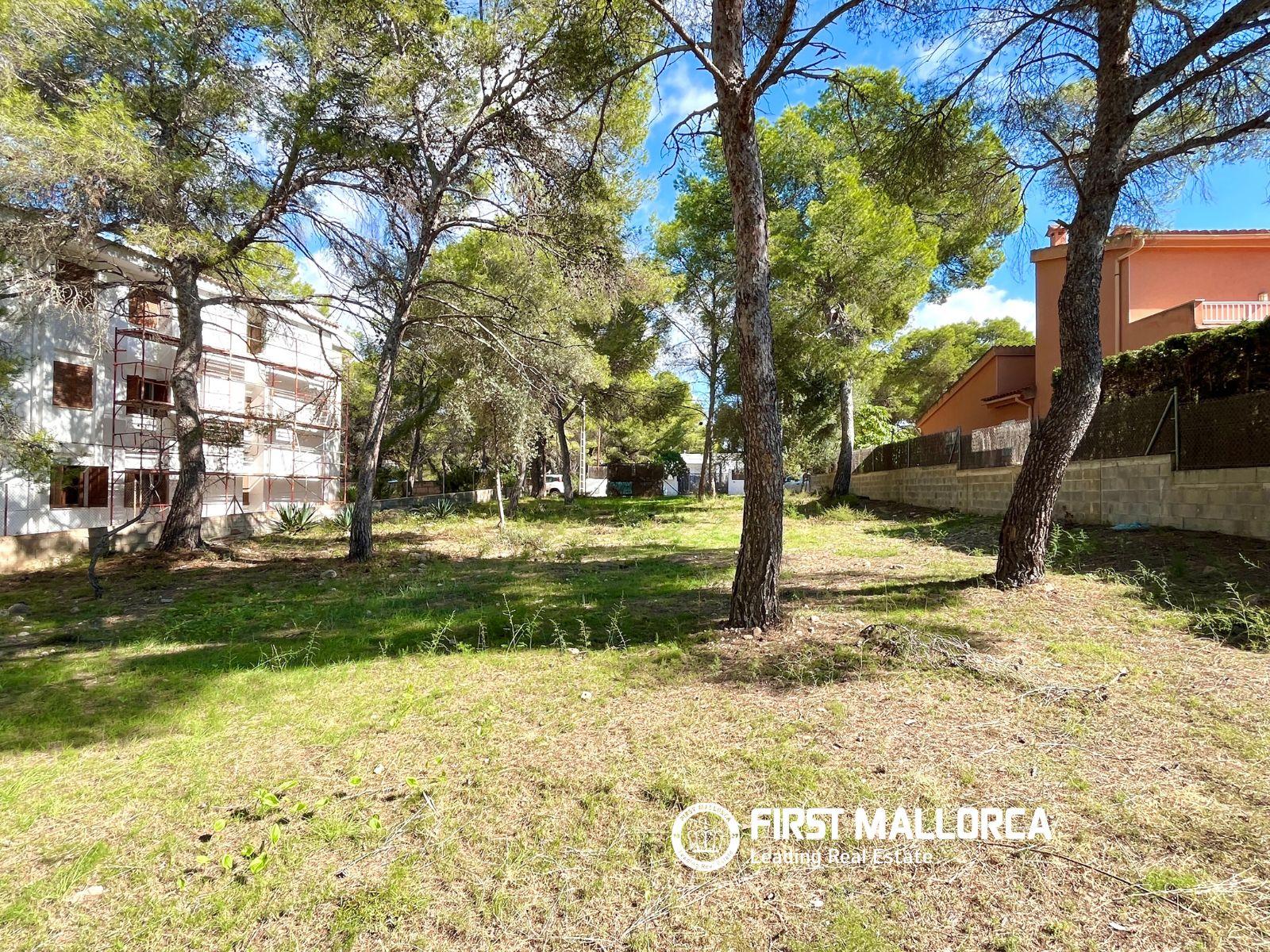 Building Site for Sale in Calvià