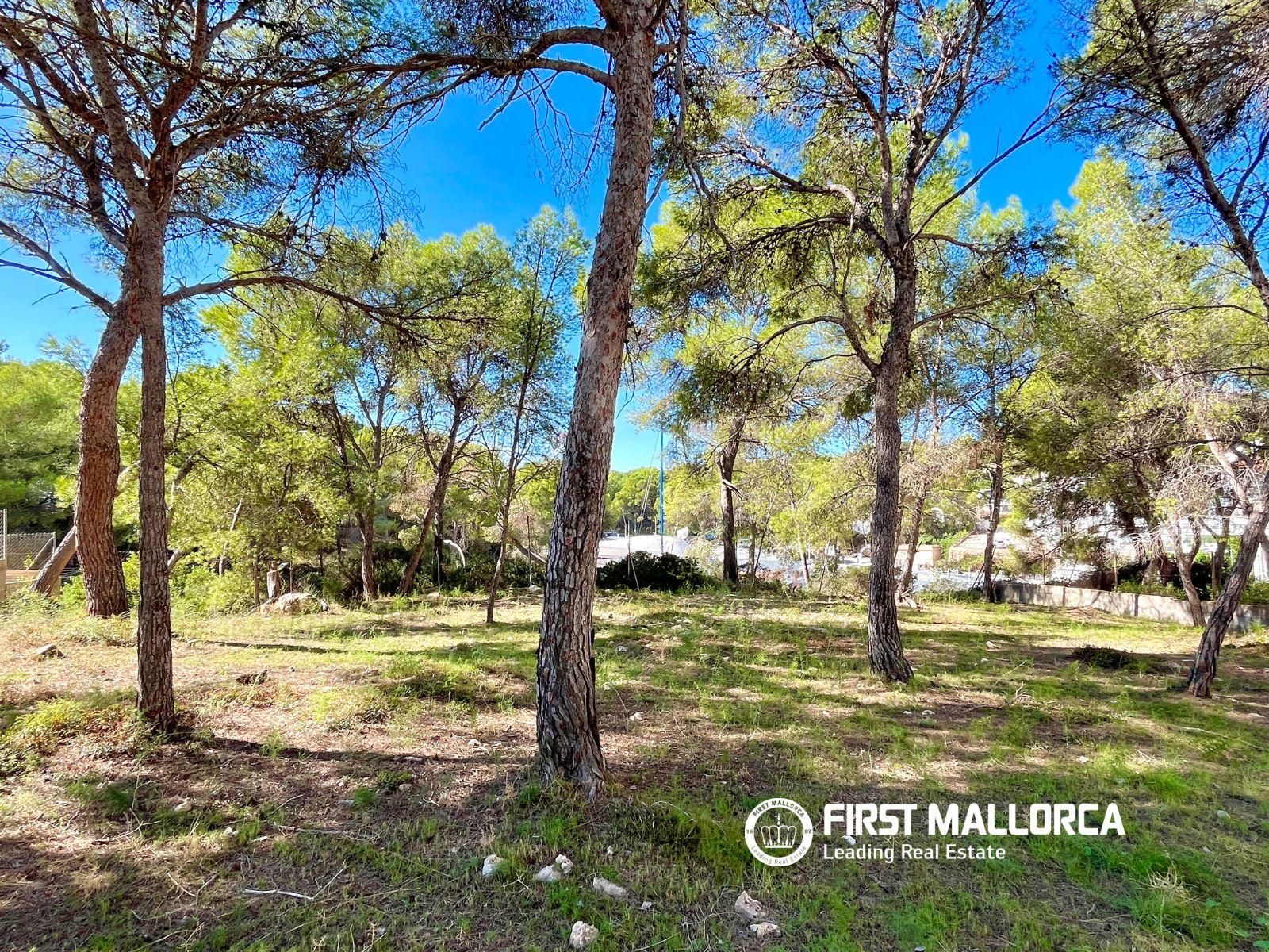 Building Site for Sale in Calvià