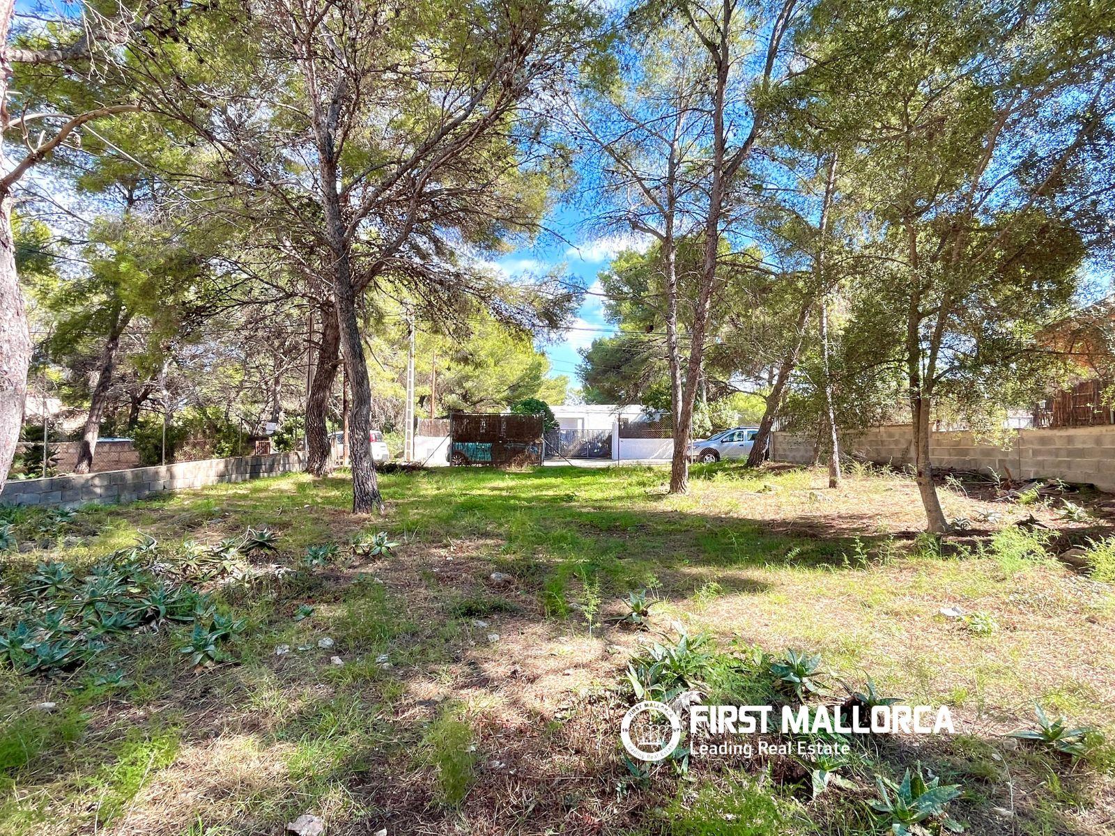 Building Site for Sale in Calvià