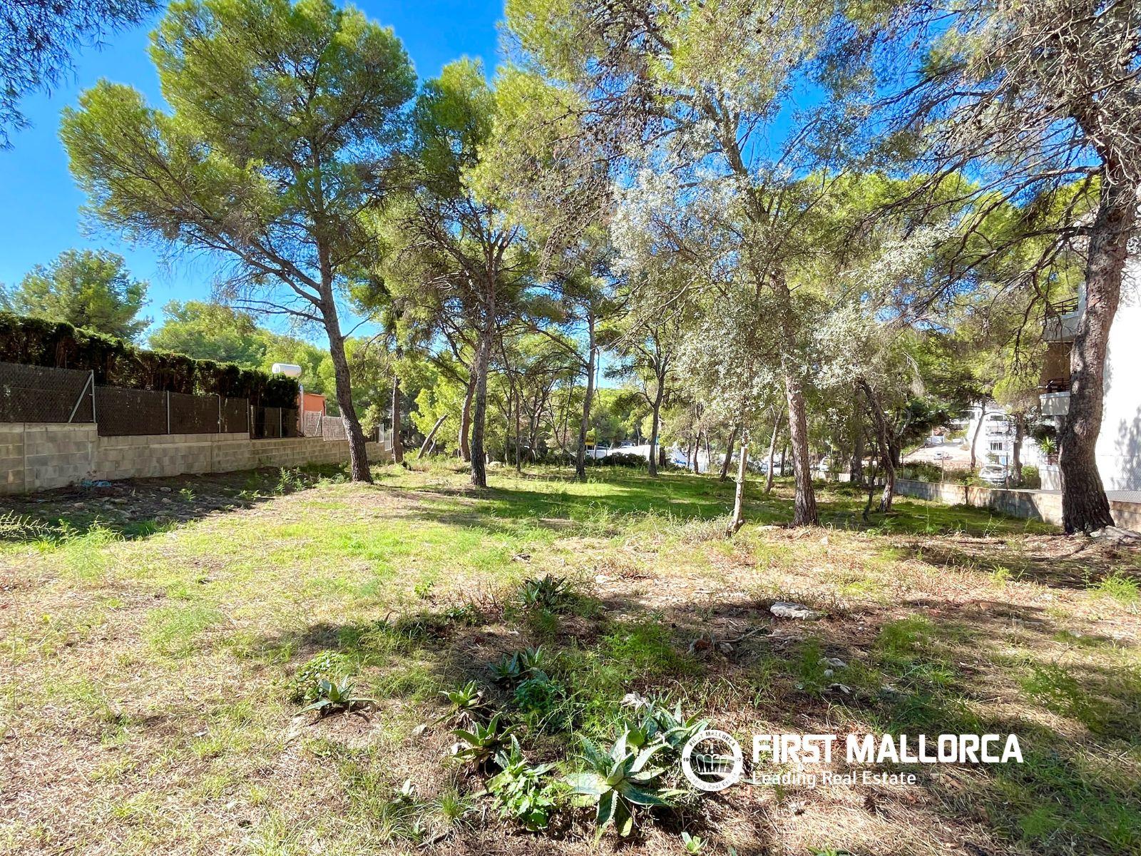 Building Site for Sale in Calvià