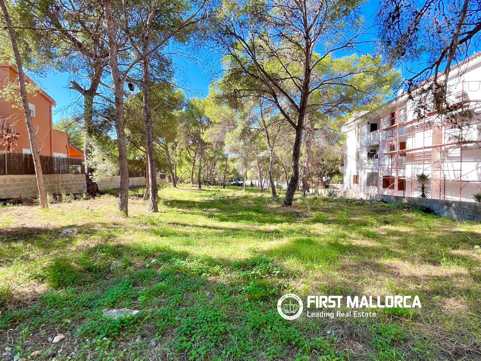 Building Site for Sale in Calvià