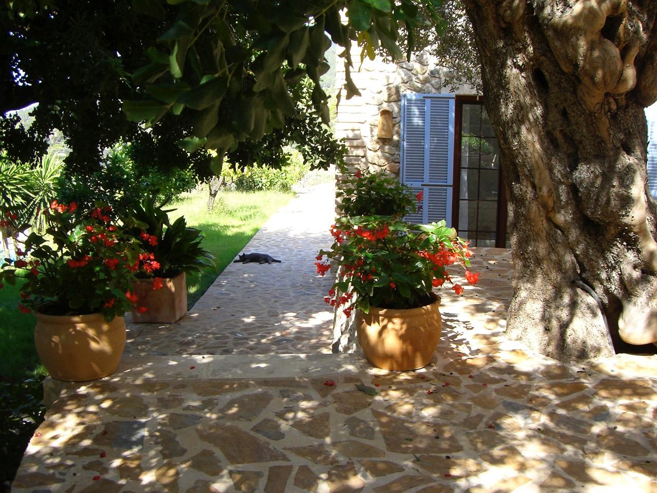 Finca en Alquiler en Estellencs