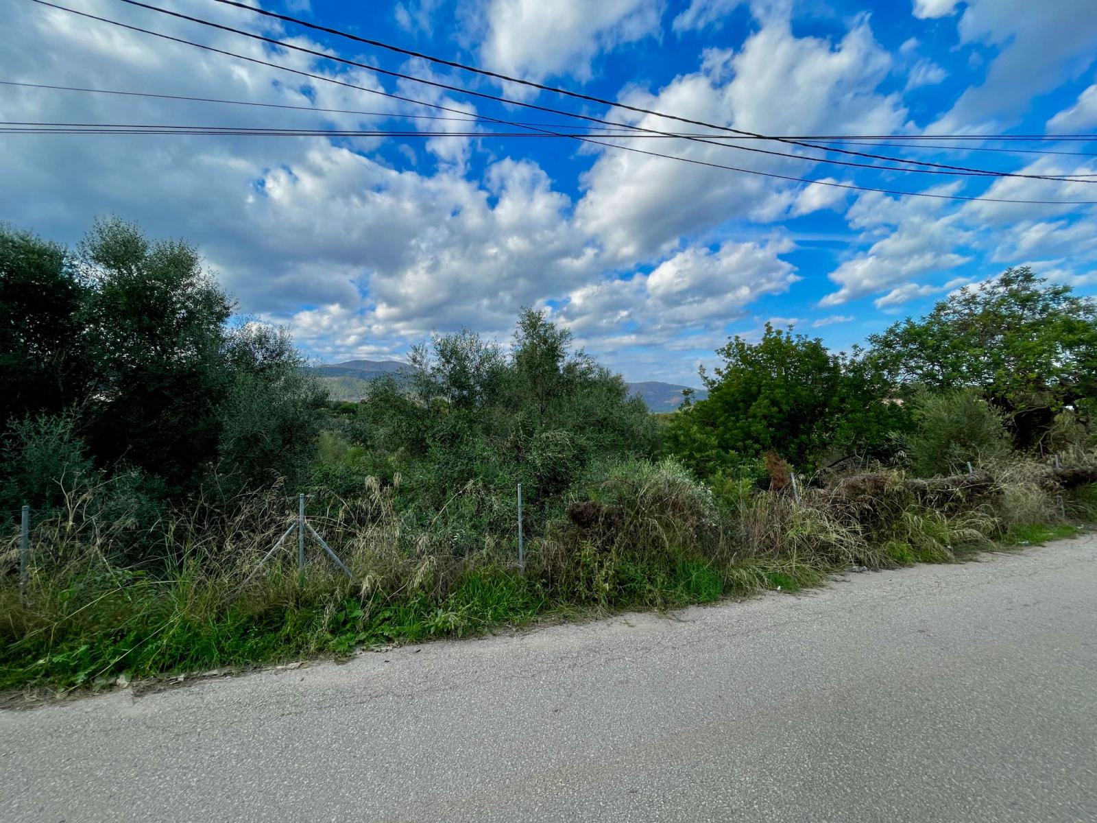 Building Site for Sale in Campanet