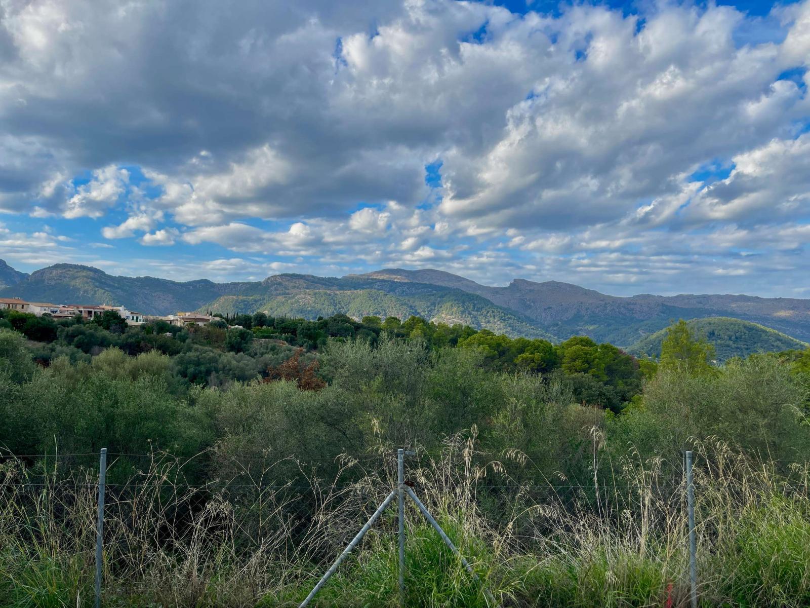 Building Site for Sale in Campanet
