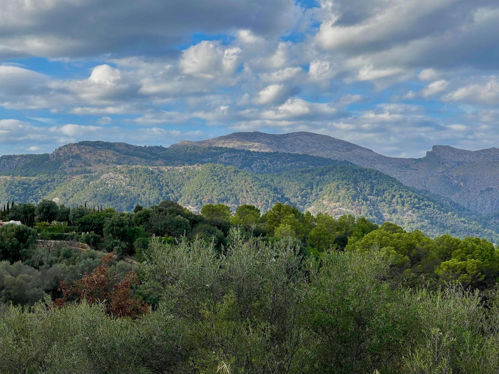 Building Site for Sale in Campanet
