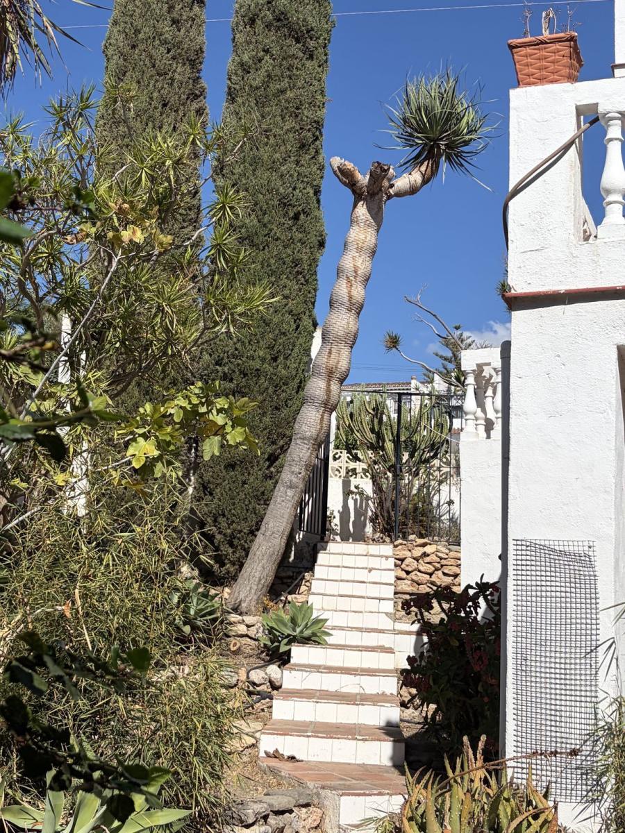 Villa for Sale in Nerja