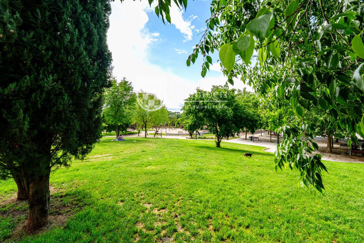 Apartment for Rent in Madrid