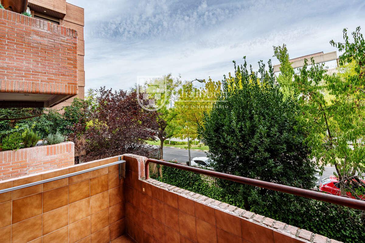 Apartment for Rent in Madrid