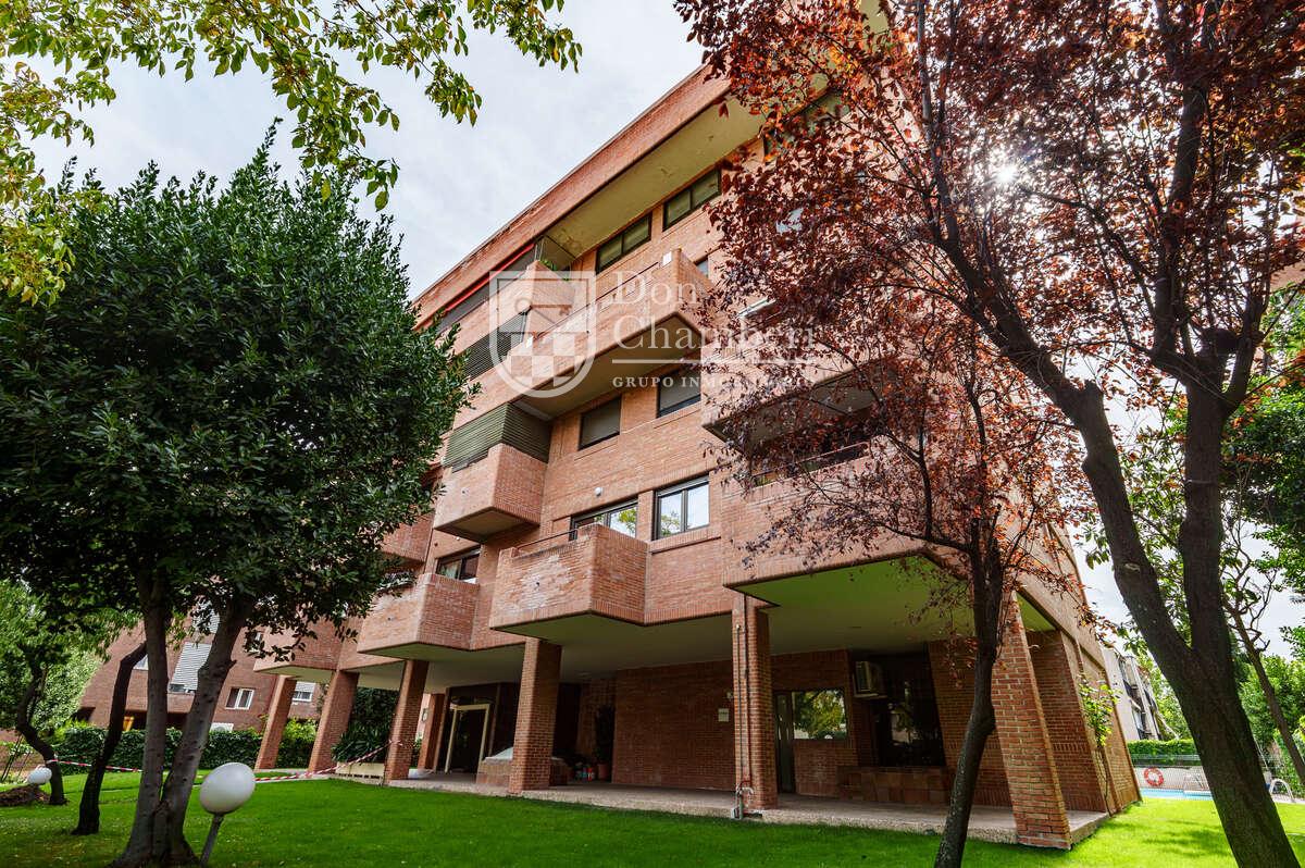 Apartment for Rent in Madrid