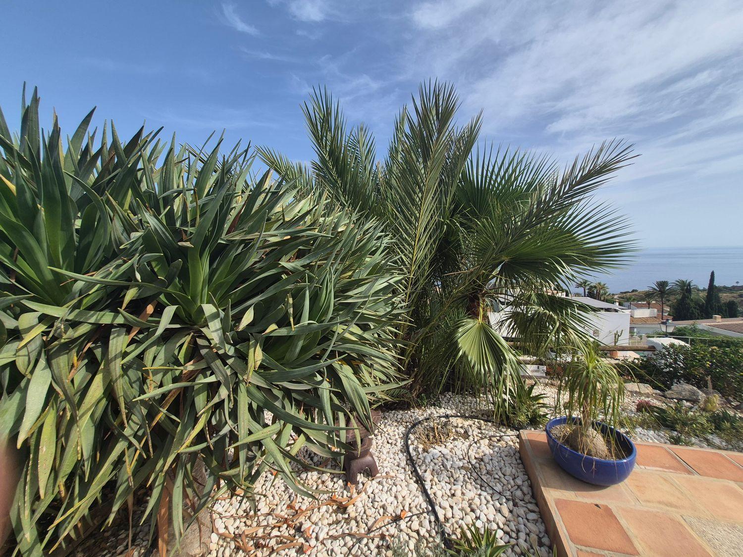 House for Sale in Salobreña