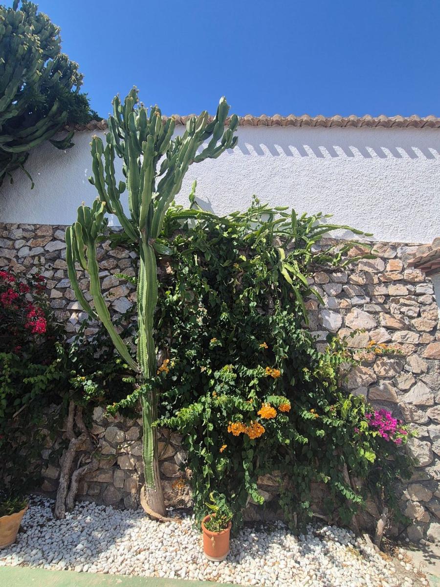 House for Sale in Salobreña