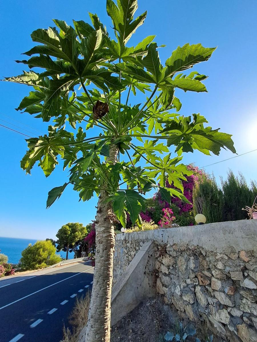 House for Sale in Salobreña