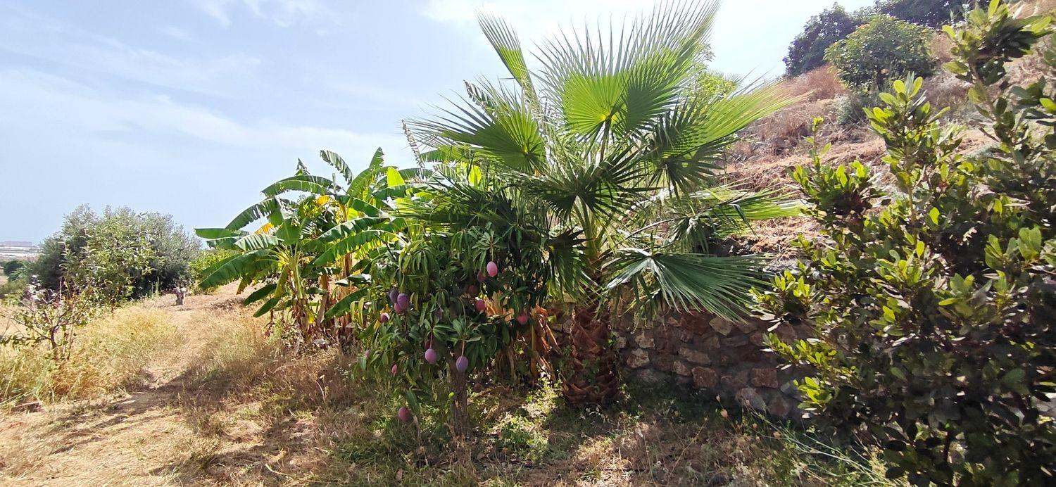 House for Sale in Motril