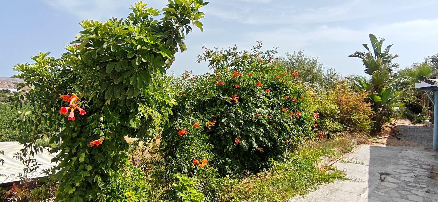 House for Sale in Motril