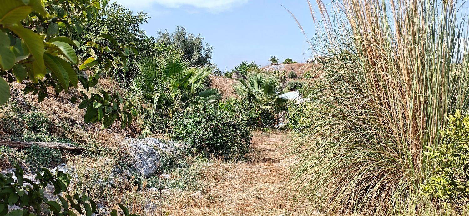 House for Sale in Motril