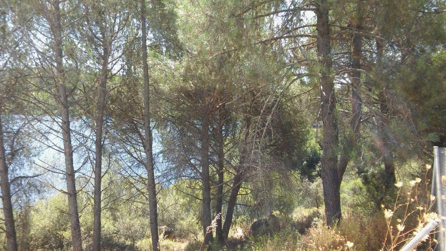 Parcela en Venta en Córdoba