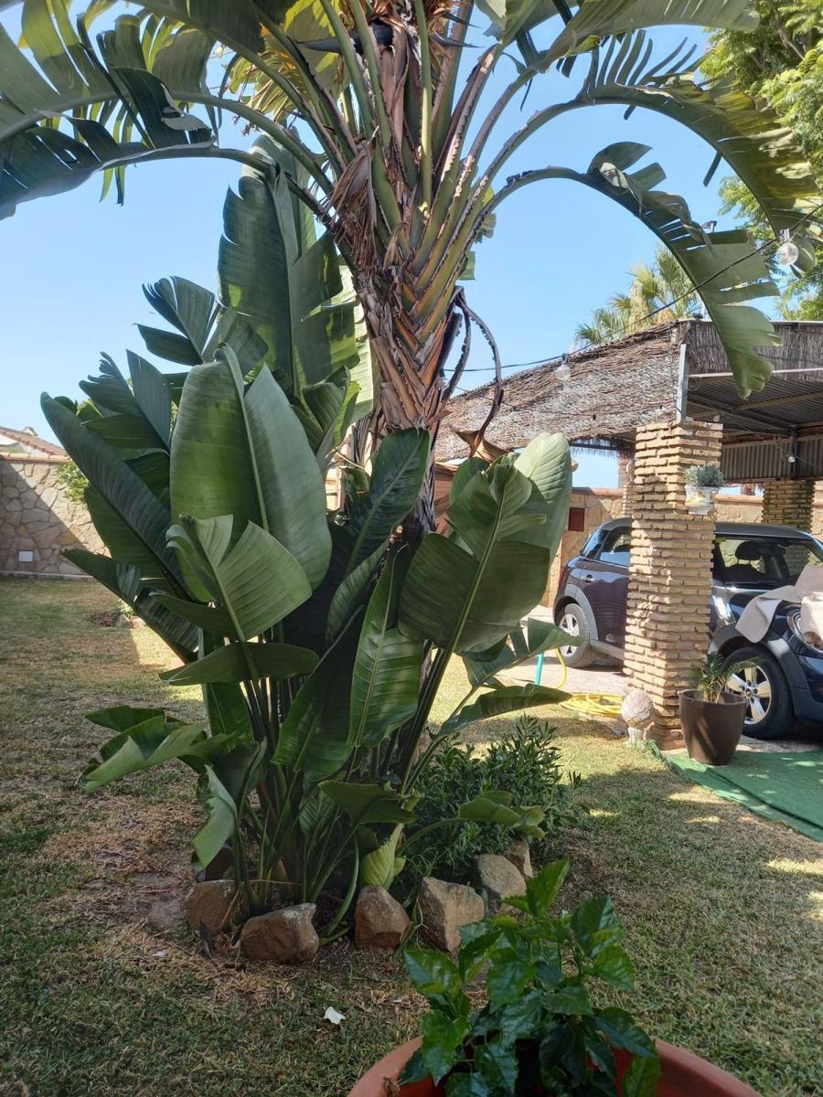 Casa en Venta en Chiclana de la Frontera