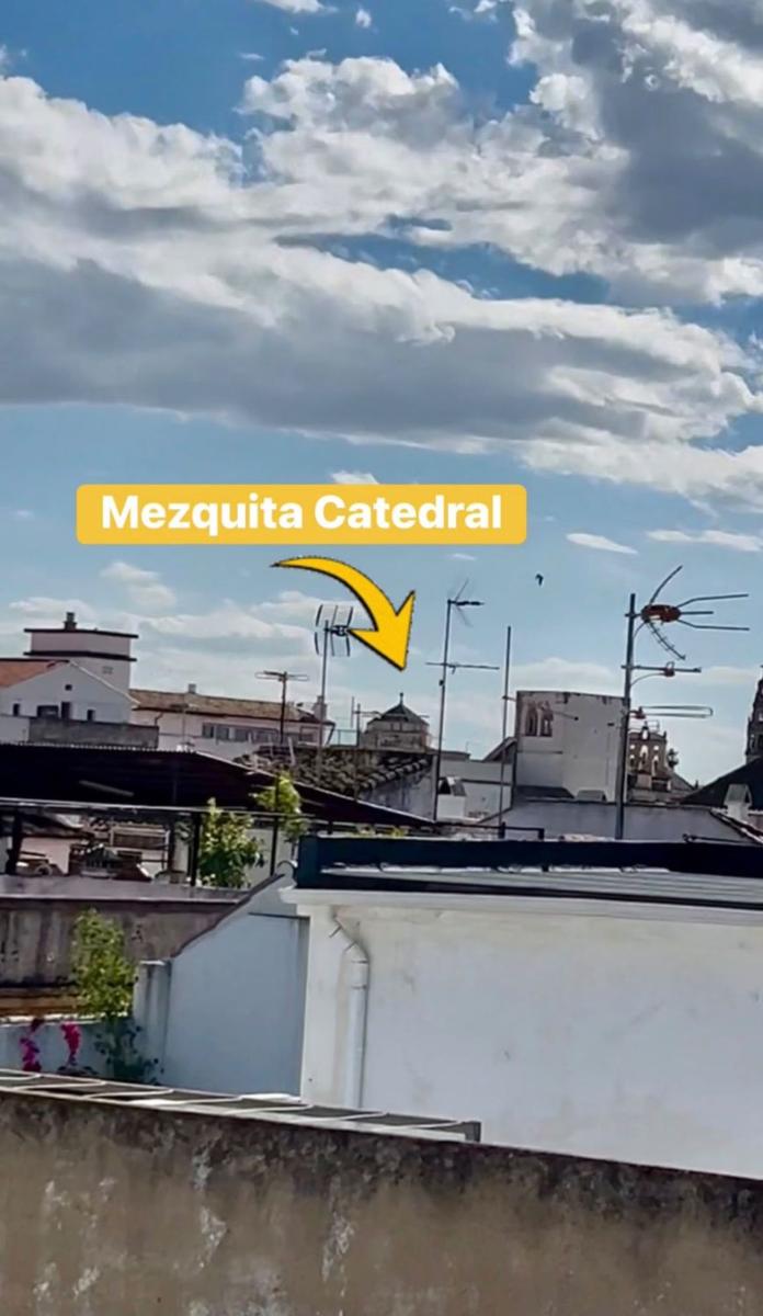 Building for Sale in Córdoba
