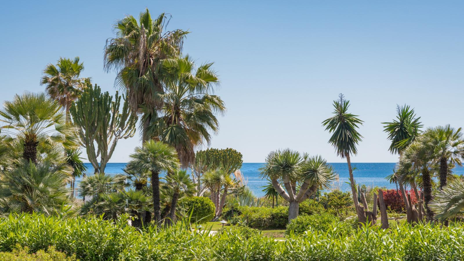 Apartment for Sale in Estepona