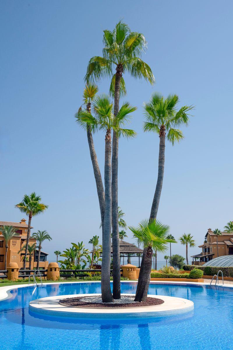 Apartment for Sale in Estepona