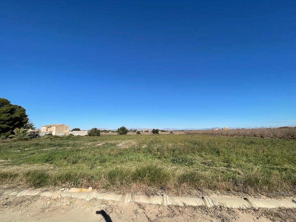 Parcela en Venta en Elche
