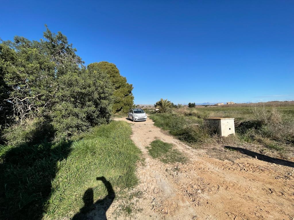 Parcela en Venta en Elche