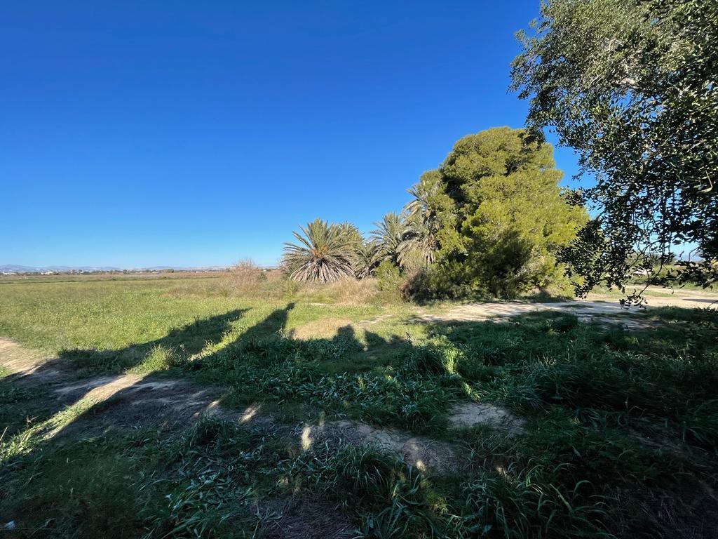 Parcela en Venta en Elche