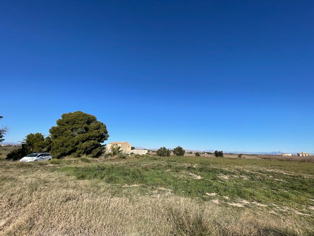 Parcela en Venta en Elche