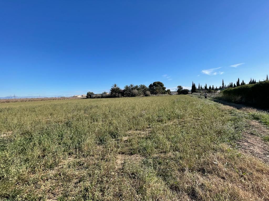 Parcela en Venta en Elche