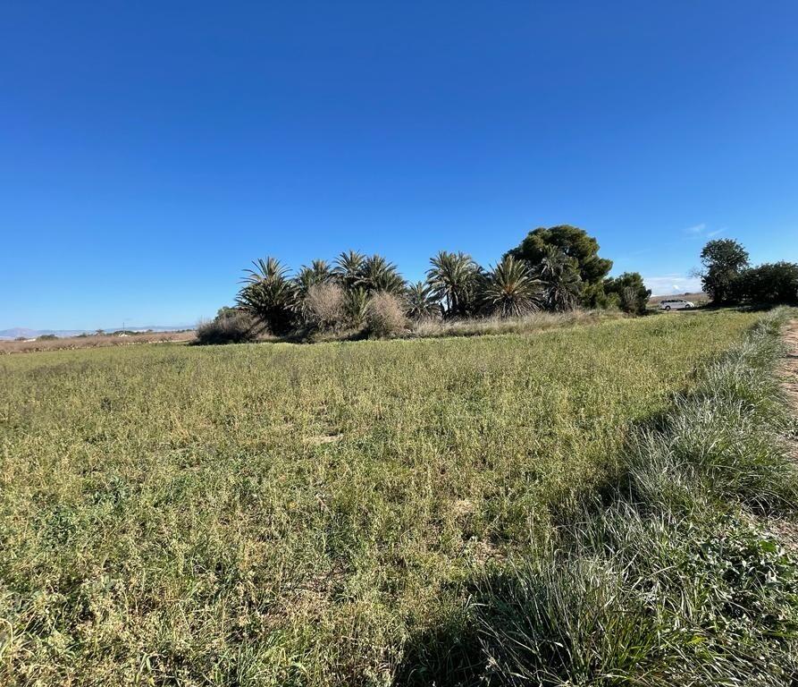 Parcela en Venta en Elche