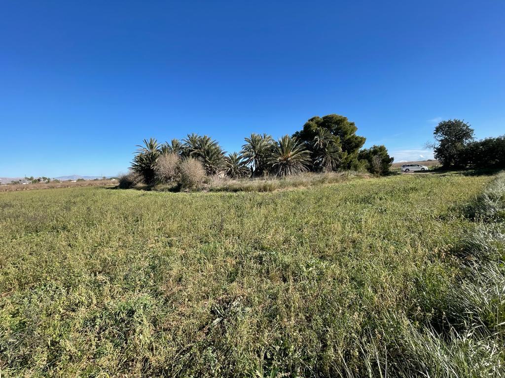 Parcela en Venta en Elche