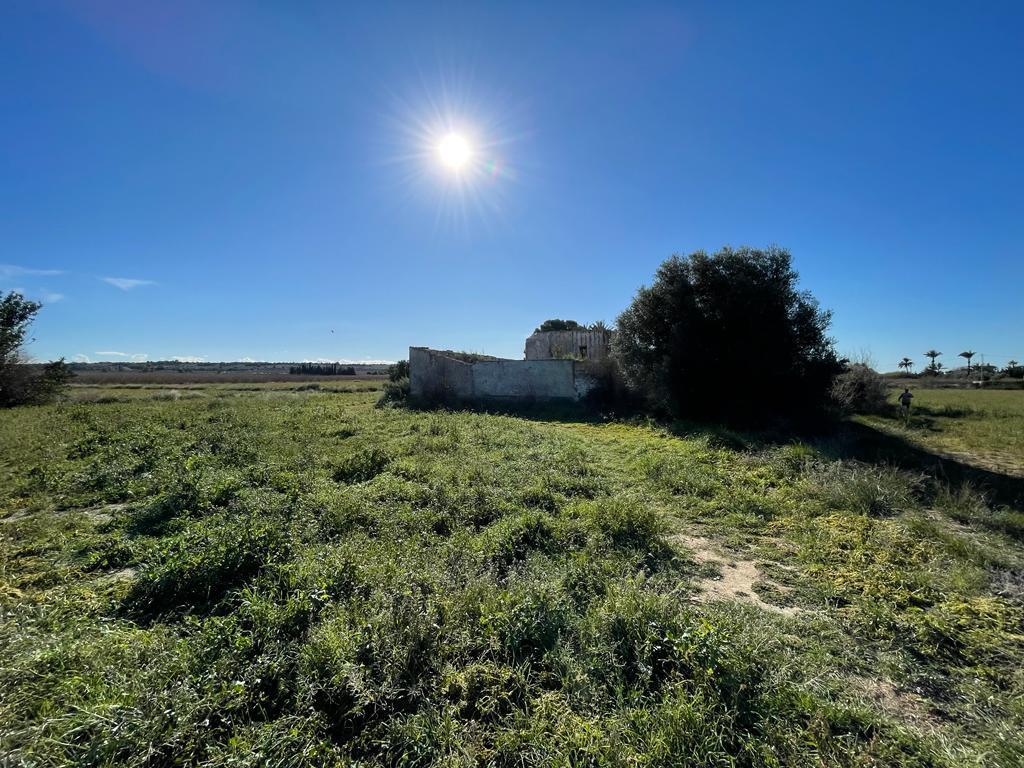 Parcela en Venta en Elche
