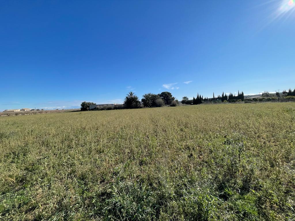 Parcela en Venta en Elche