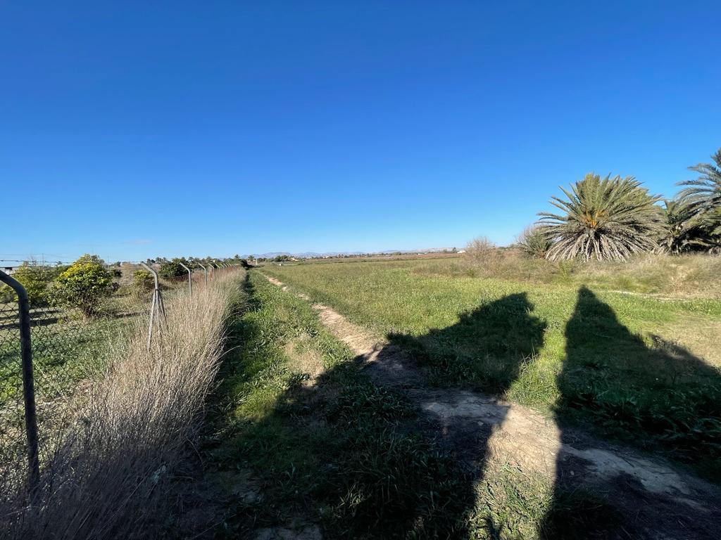 Parcela en Venta en Elche