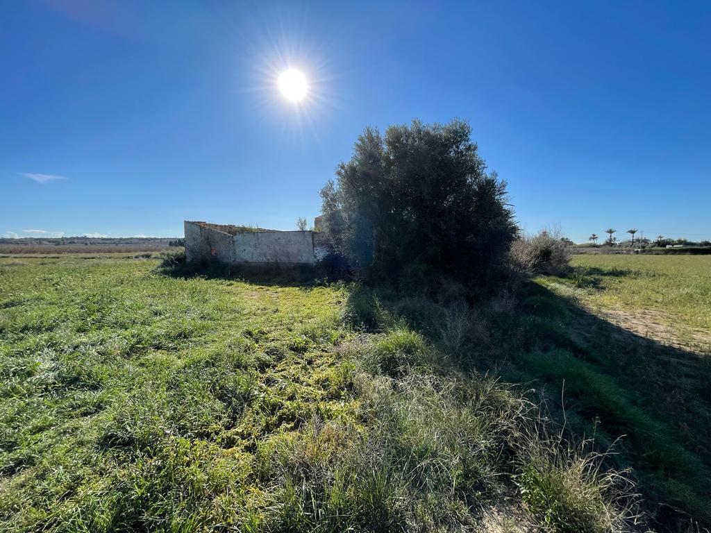Parcela en Venta en Elche