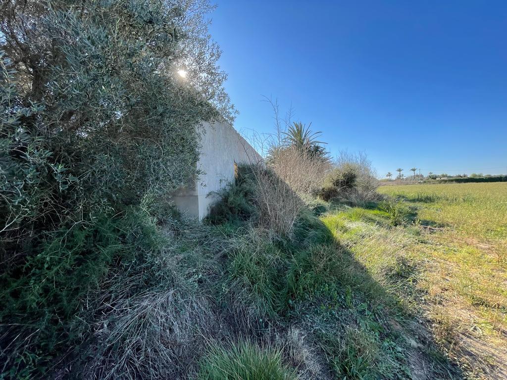 Parcela en Venta en Elche