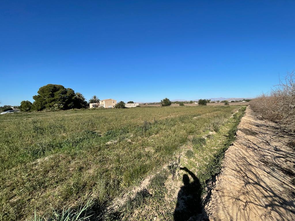 Parcela en Venta en Elche