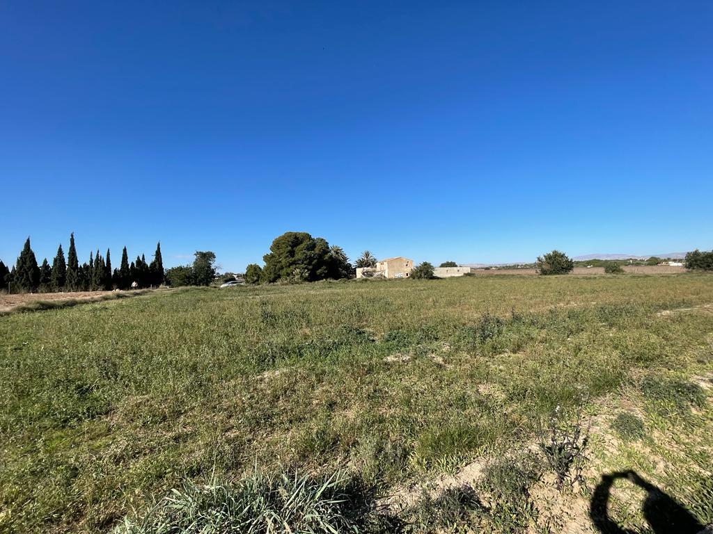 Parcela en Venta en Elche