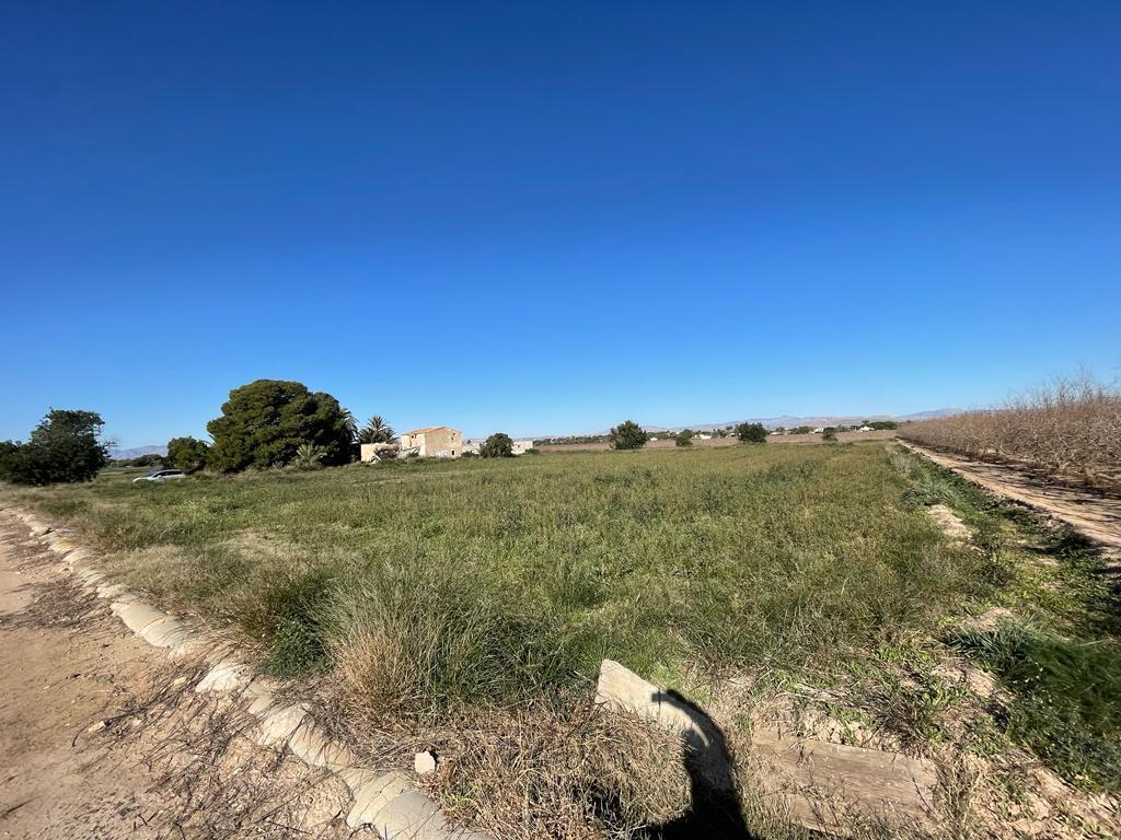 Parcela en Venta en Elche