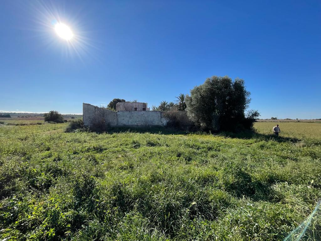 Parcela en Venta en Elche