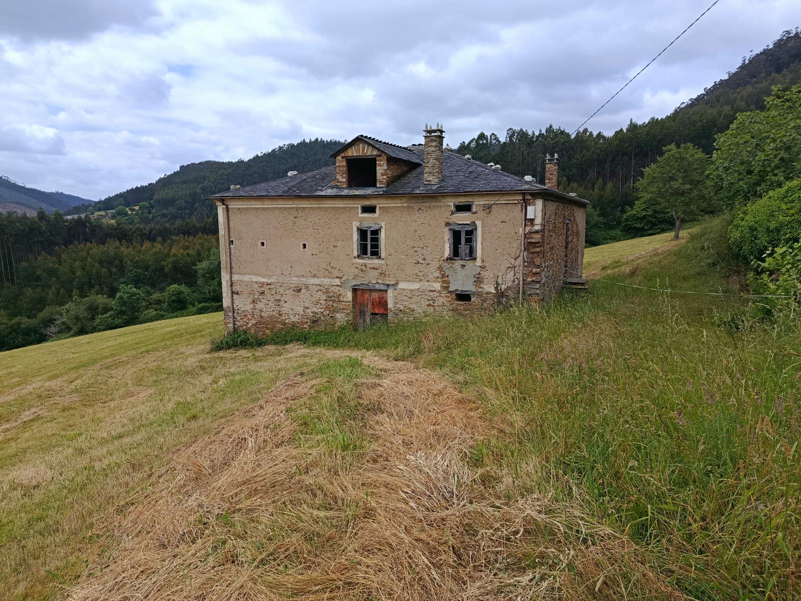 Finca en Venta en San Tirso de Abres