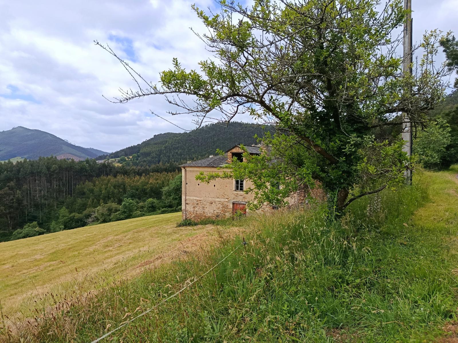 Finca en Venta en San Tirso de Abres