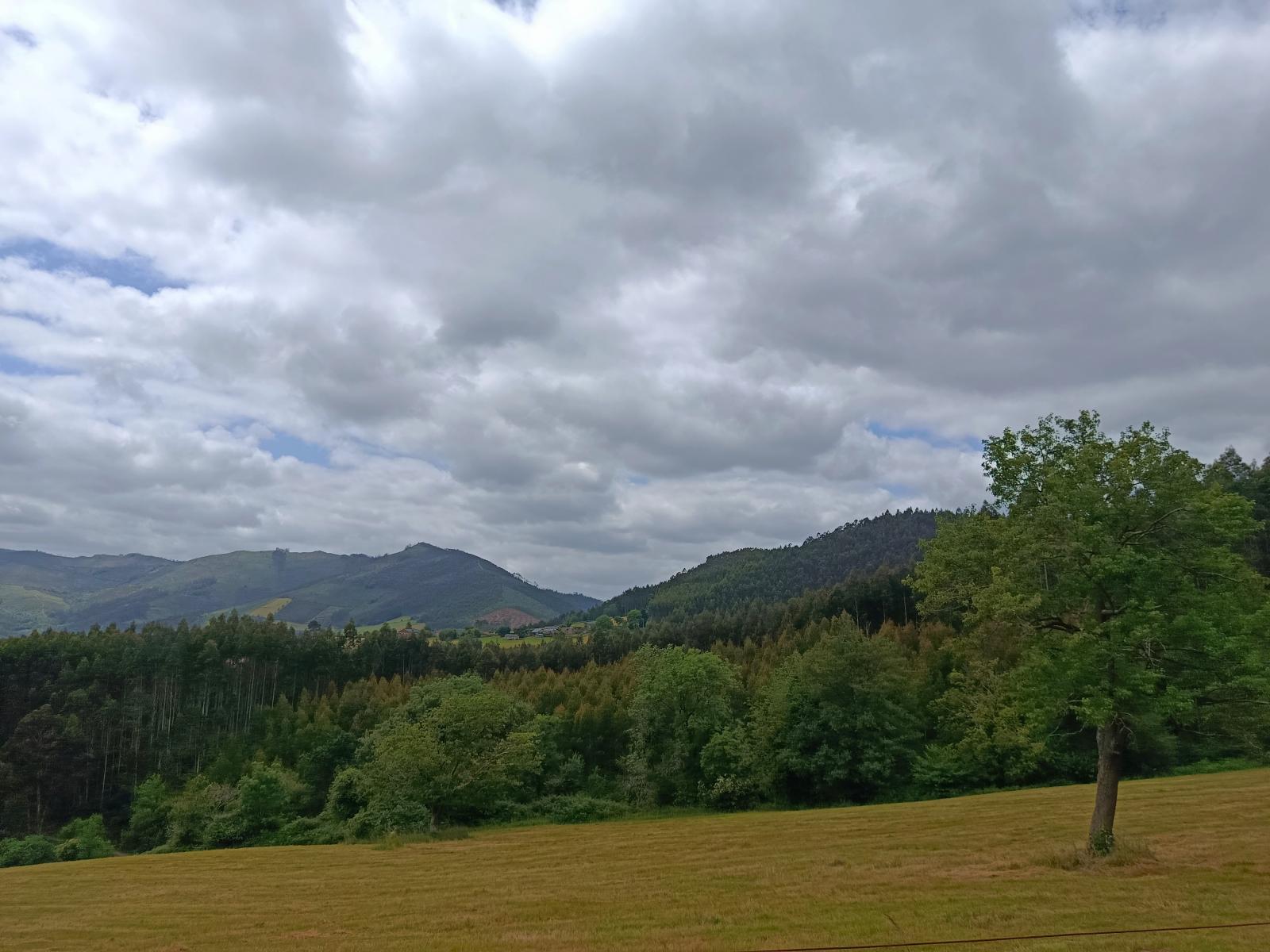 Finca en Venta en San Tirso de Abres